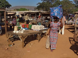 Tourisme équitable Bénin - Bulletin d'inscription