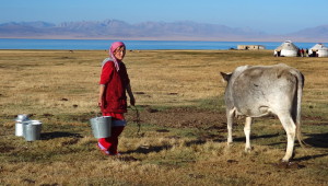 Voyage utile au Kirghizstan - Song Kol
