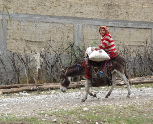 Voyage solidaire au Kirghizstan - enfant sur âne