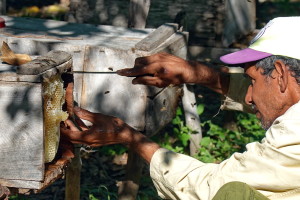 Séjour solidaire Cuba