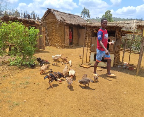 voyage madagascar - projet poulailler