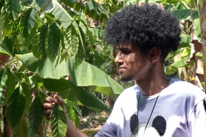 Tourisme solidaire Cuba - Café