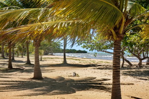 Tourisme responsable Cuba - Las Coloradas