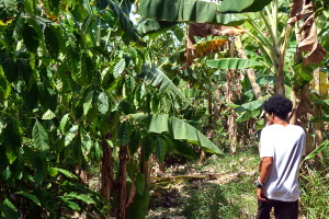 Tourisme solidaire Cuba - Oriente
